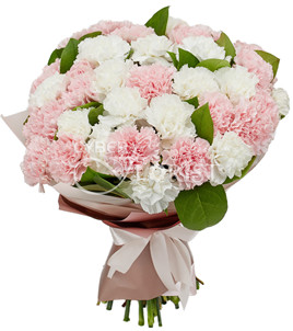 bouquet of 31 carnations